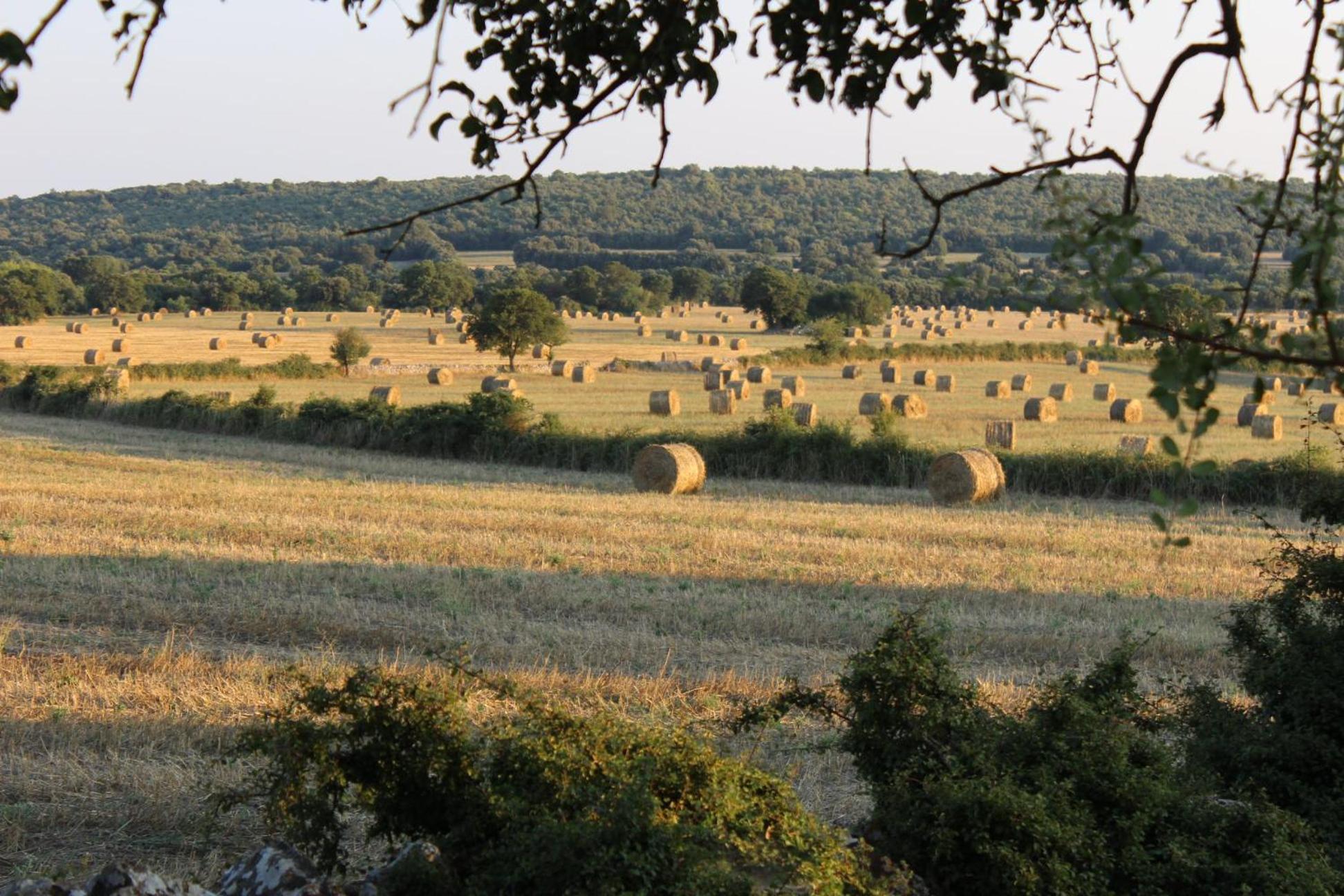 פאסאנו Masseria San Lorenzo Resort מראה חיצוני תמונה